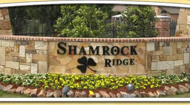 Shamrock Ridge Homes For Sale - Forney TX | Dave Meneo Realtor | 469-601-5163